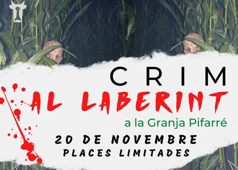 ACTIVITAT · CRIM AL LABERINT