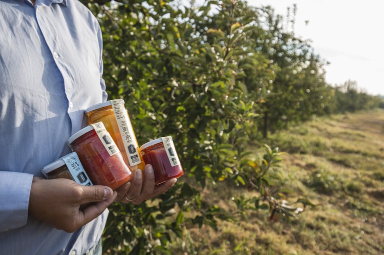 ACTIVITAT · LA FRUITA AL POT