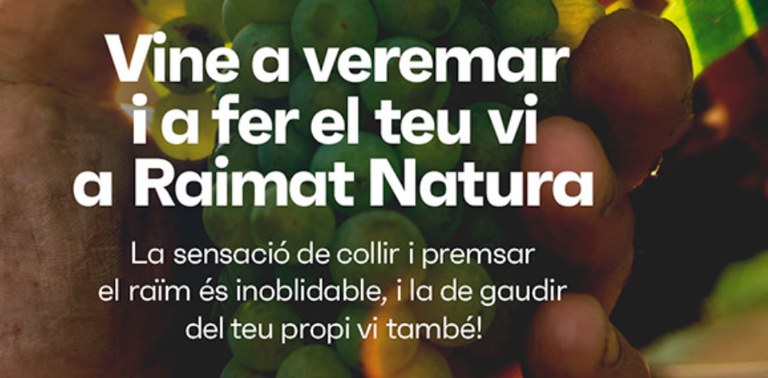 ACTIVITAT · VIU LA VEREMA DE RAIMAT