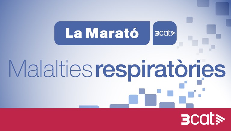 ACTIVITATS DE LA MARATÓ