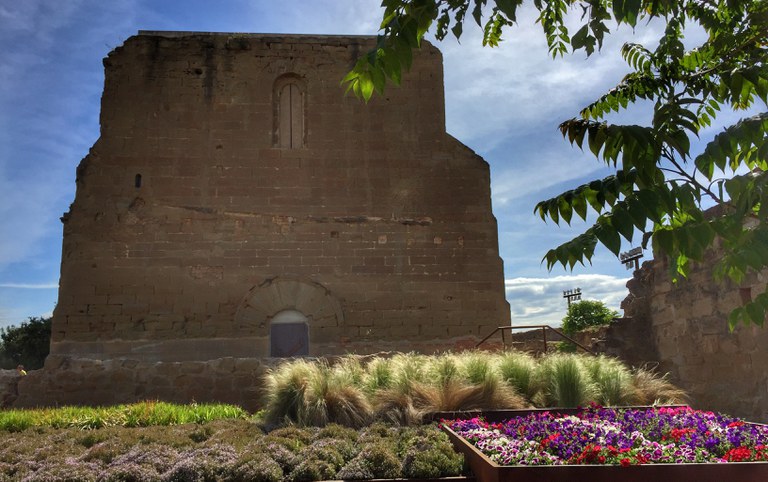 CANFORA MARKET ·  MERCAT DE SEGONA MA