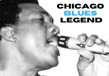 CONCERT · BRIGHTON 64 + WILLIE BUCK & TOTA BLUES BAND