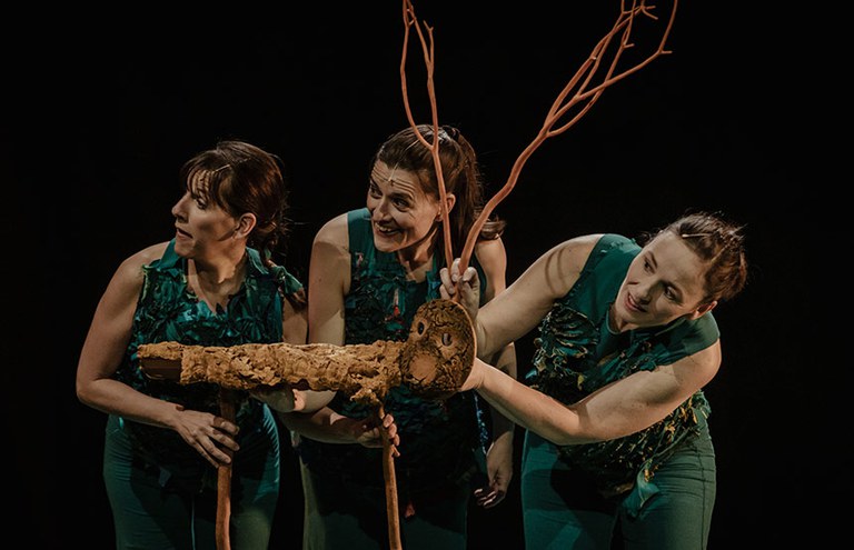 CONCERT ESPECTACLE · SOTABOSC