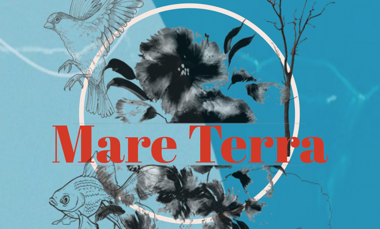 CONCERT · MARE TERRA. COR DE L'ORFEÒ LLEIDATÀ