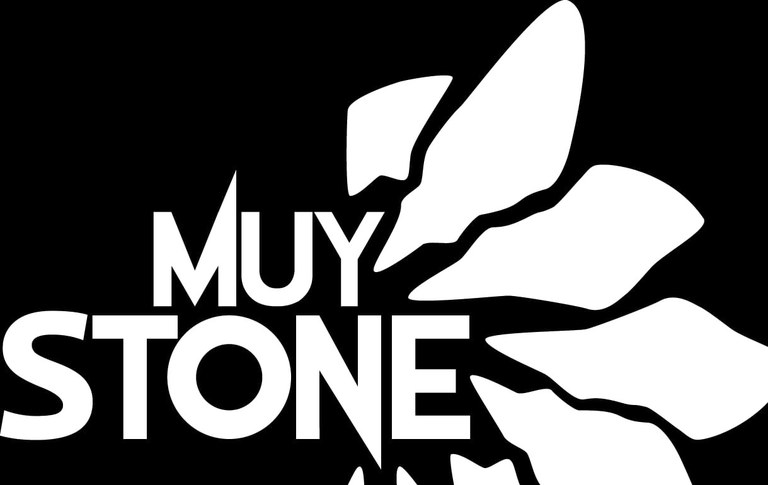 CONCERT · MUY STONE
