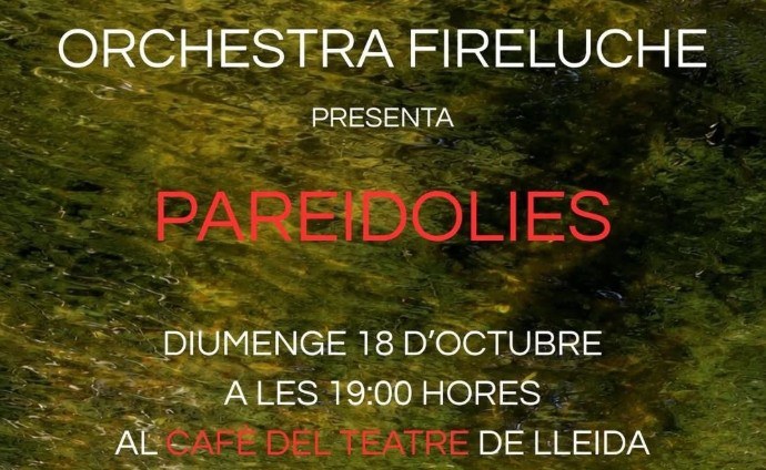 CONCERT · ORCHESTRA FIRELUCHE