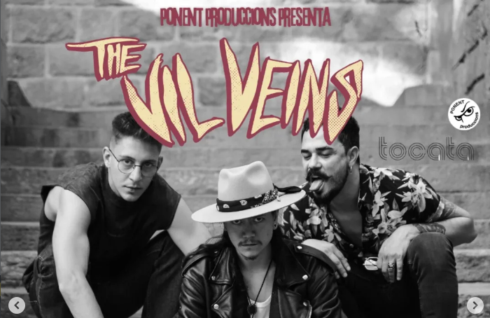 CONCERT · THE VIL VEINS