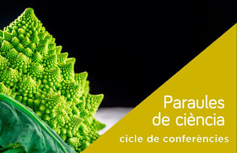 CONFERÈNCIA · PARLEM SOBRE MATEMÀTIQUES I SALUT