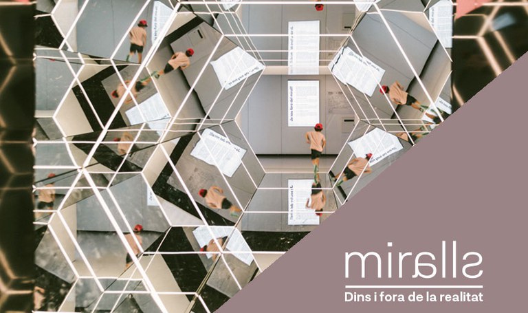 CONFERÈNCIES I DEBATS · REFLEXIONS DAVANT D'UN MIRALL