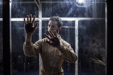 DANSA HÍBRIDA · CRISÁLIDA