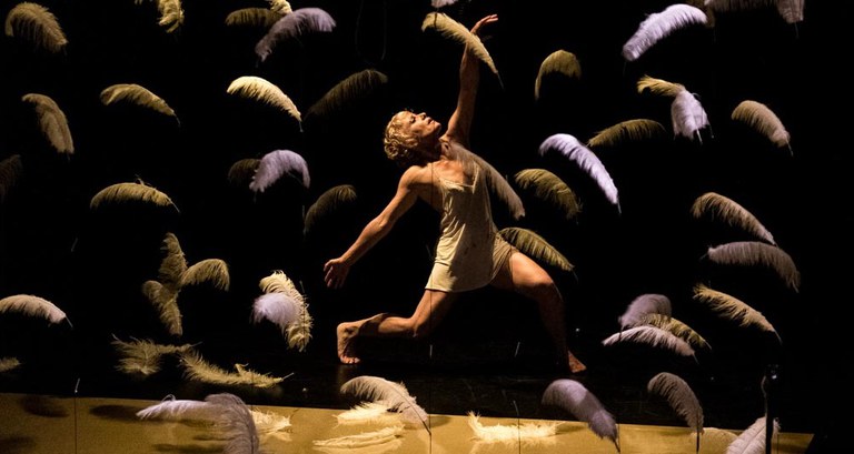 DANSA · "MALDITAS PLUMAS"