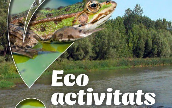 ECODESCOBERTA · QUÈ PASSA AMB LES NOSTRES DEIXALLES?