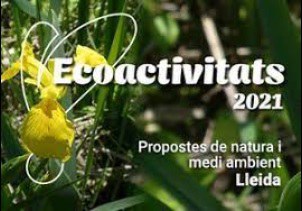 ECODESCOBERTA · CAMINANT PEL NOU TRAM DEL CAMÍ DEL RIU