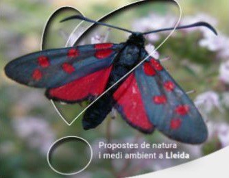 ECODESCOBERTA · EL REFUGI DELS PELUTS