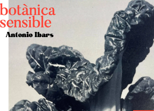 EXPOSICIÓ · BOTÀNICA SENSIBLE · ANTONIO IBARS