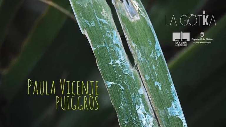 EXPOSICIÓ · ENTRE LA FULLA I LA MUNTANYA