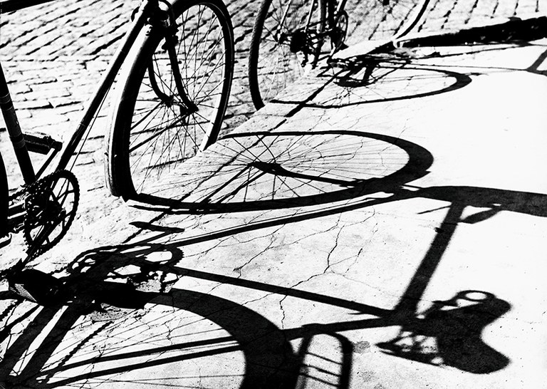 EXPOSICIÓ · NOVES ADQUISICIONS