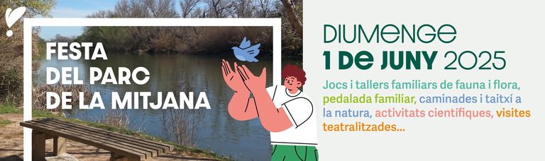 FESTA · PARC DE LA MITJANA