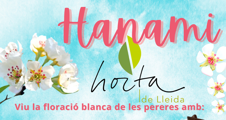 HANAMI HORTA · LA FLORACIÓ BLANCA DE LES PERERES