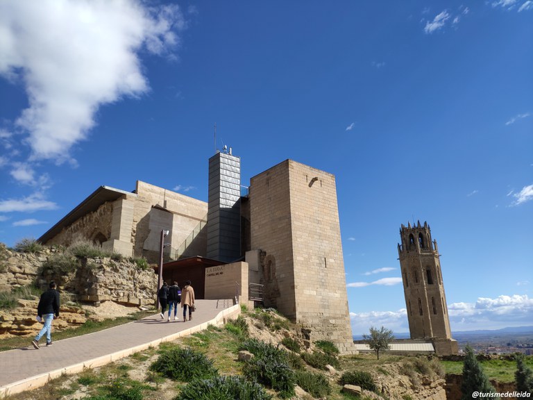 ITINERARI PELS VESTIGIS DE LA GUERRA CIVIL AL TURÓ DE LA SEU VELLA