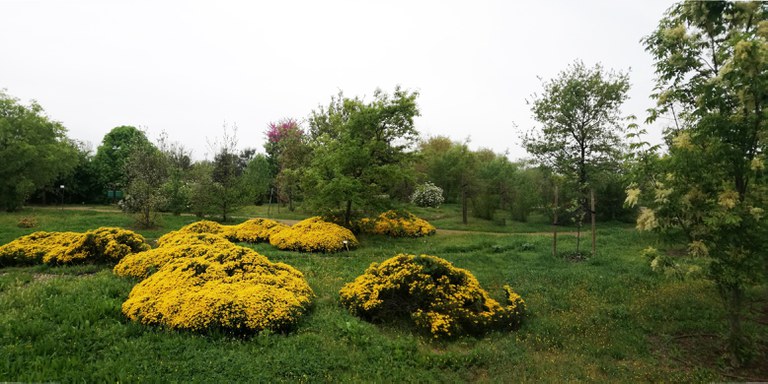 JARDÍ BOTÀNIC · ARBORÈTUM DE LLEIDA