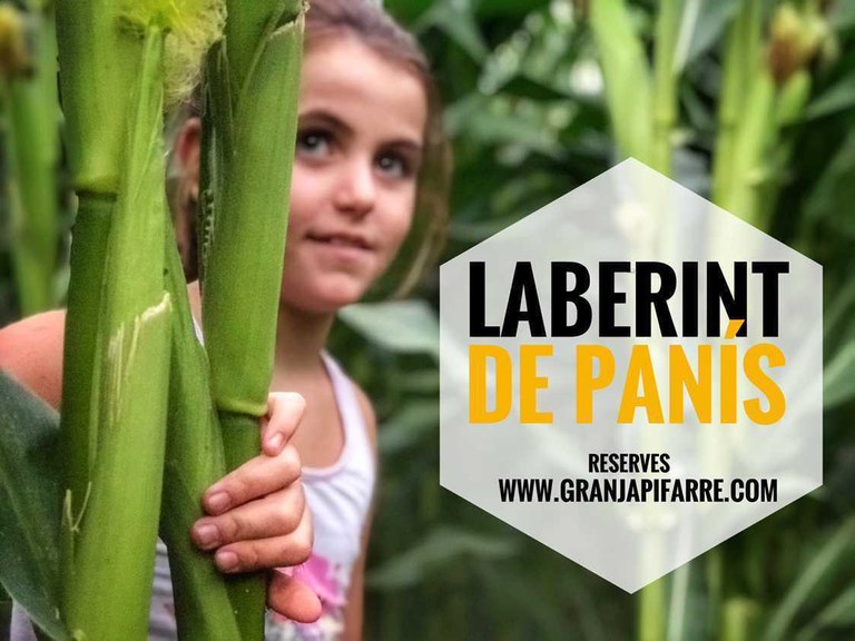 LABERINT DE BLAT DE MORO