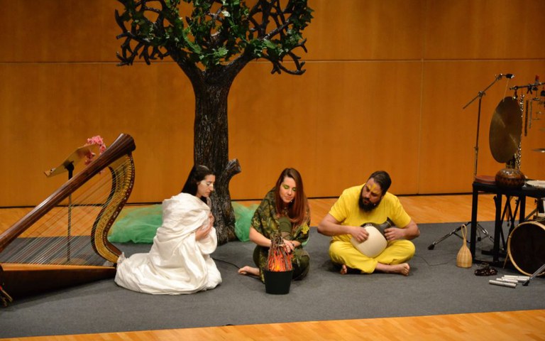 MÚSICA · UN BOSC DE SONS