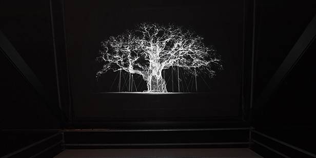 EXPOSICIÓ · ORIGEN