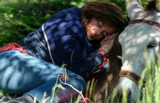 PROJECCIONS · "VACACIONES CONTIGO... Y TU MUJER"