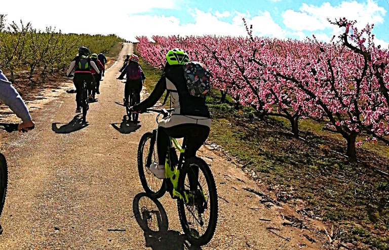 RUTA CICLOTURISTICA · LA FLORACIÓ A L'HORTA DE LLEIDA