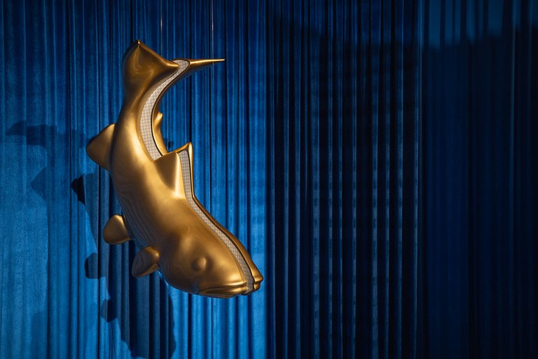 SEQÜÈNCIA PLA SEQÜÈNCIA · SEGON CICLE EXPOSITIU