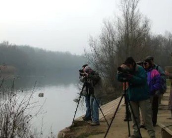 TALLER + BIODIVERSITAT · CENS D'OCELLS HIVERNANTS ALS ESPAIS HUMITS DE LLEIDA