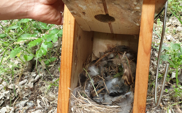 TALLER DE CAIXES NIU AL PARC DE LA MITJANA