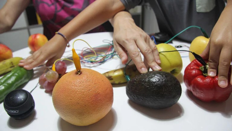 TALLER DE CIÈNCIA · VEGETALS ELECTROMUSICALS