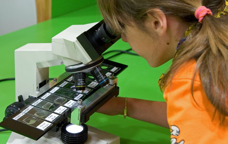 TALLER · EL MÓN DE LA CÈL·LULA