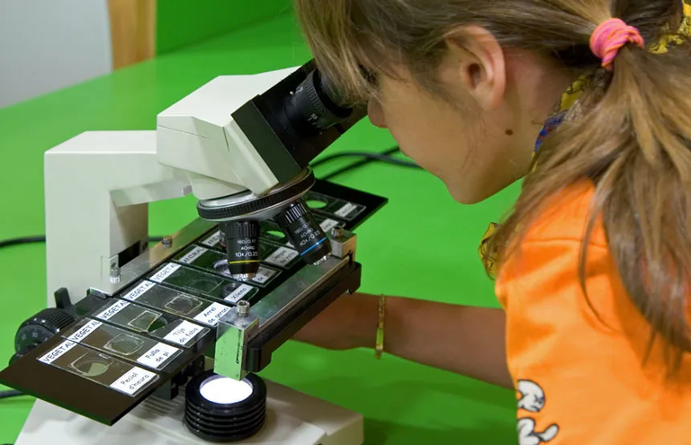 TALLER · EL MÓN DE LA CÈL·LULA