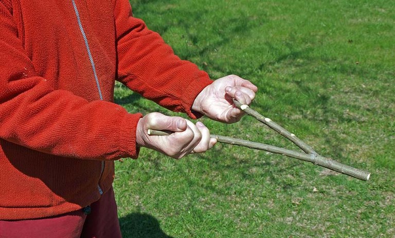 TALLER · LA MÀGIA DE TROBAR AIGUA