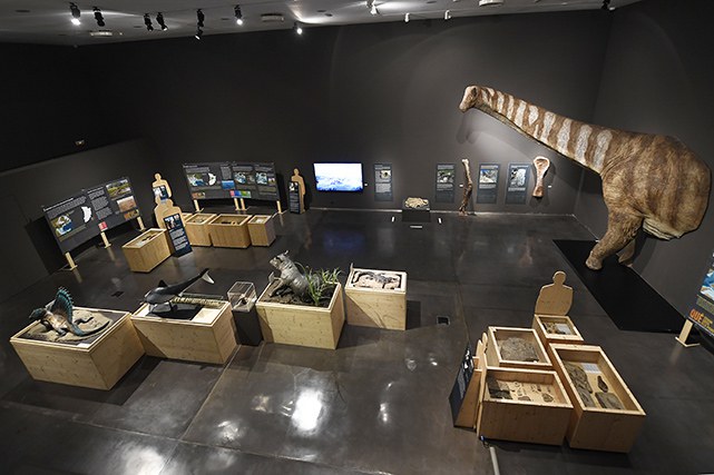 VISITA GUIADA A L'EXPOSICIÓ · QUÈ TENIM SOTA ELS PEUS?