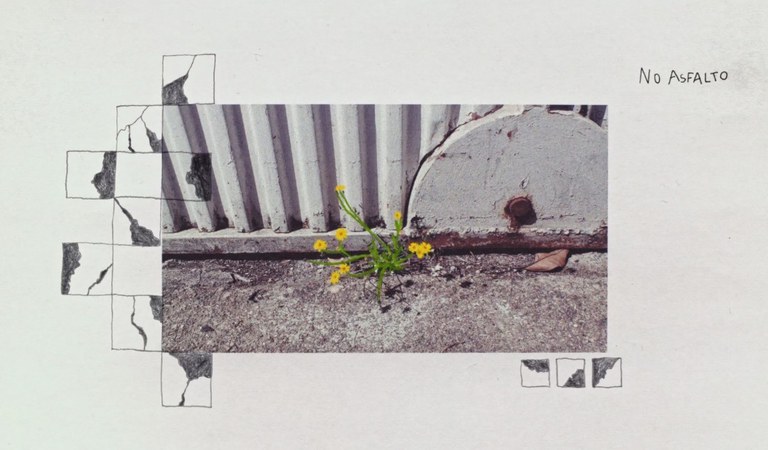 VISITA GUIADA DE L'EXPOSICIÓ: "TERRARIO DE MALAS HIERBAS: EL PROCESO CREATIVO DE MALEZA"