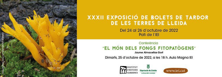 XXXII EXPOSICIÓ DE BOLETS DE TARDOR