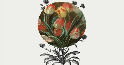 EXHIBITION · BOTANY IN ART