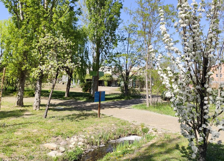 FREE ENTRY TO THE ARBORETUM