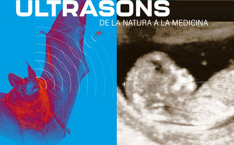 ACTIVIDAD · EXPLORA: ULTRASONIDOS DE LA NATURALEZA A LA MEDICINA