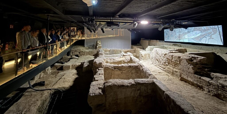 CURTIDURÍAS DE LA DIPUTACIÓN