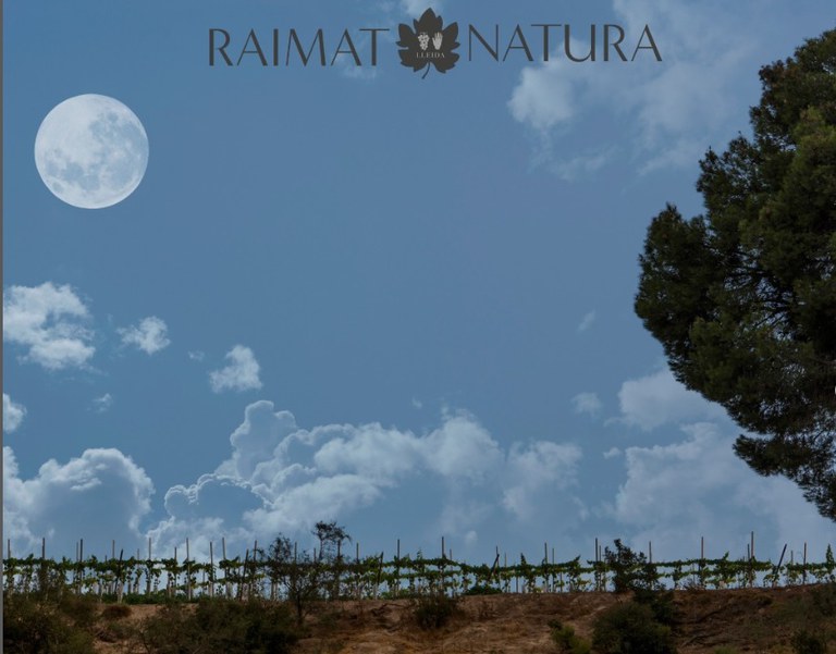 CENA CON OBSERVACIÓN ASTRONÓMICA