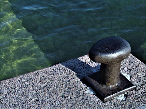 CLÁSICOS POR LA LIBERTAD · "RAPSODES DEL SEGRE"