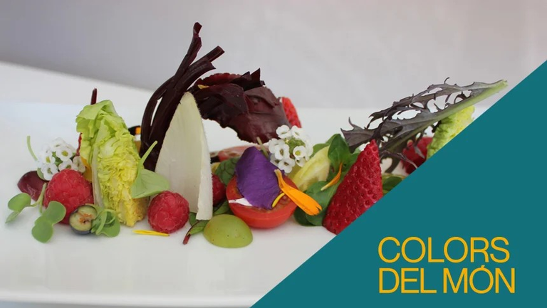COMEMOS EN COLORES · LA CIENCIA DE LOS ALIMENTOS