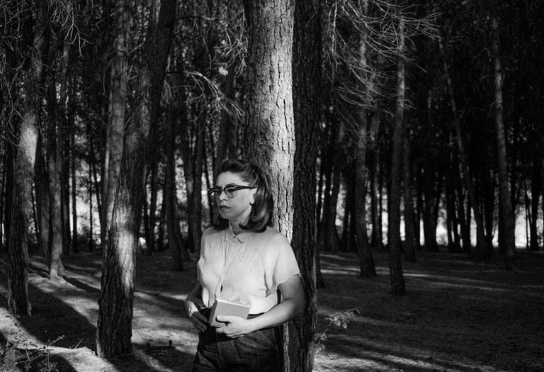 CONCIERTO · FLAMINGO TOURS