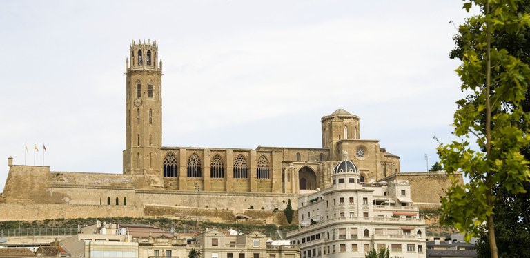 DÍA DE LA SEU VELLA