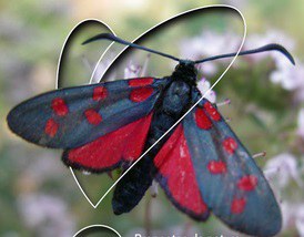ECOACTIVIDAD · VISITA A UN EDIFICIO BIOCLIMÁTICO DE LLEIDA